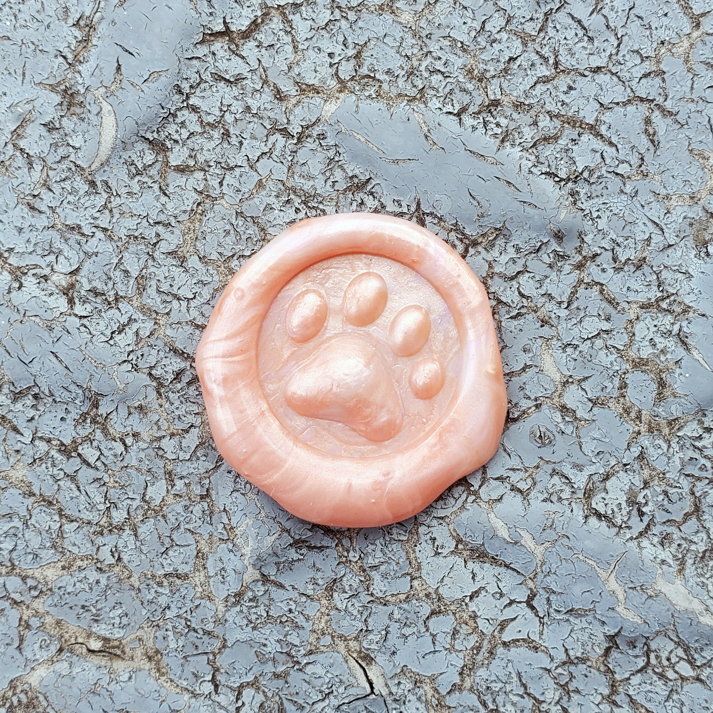 Wax Seal Decoration - Paw (Surprise Color)